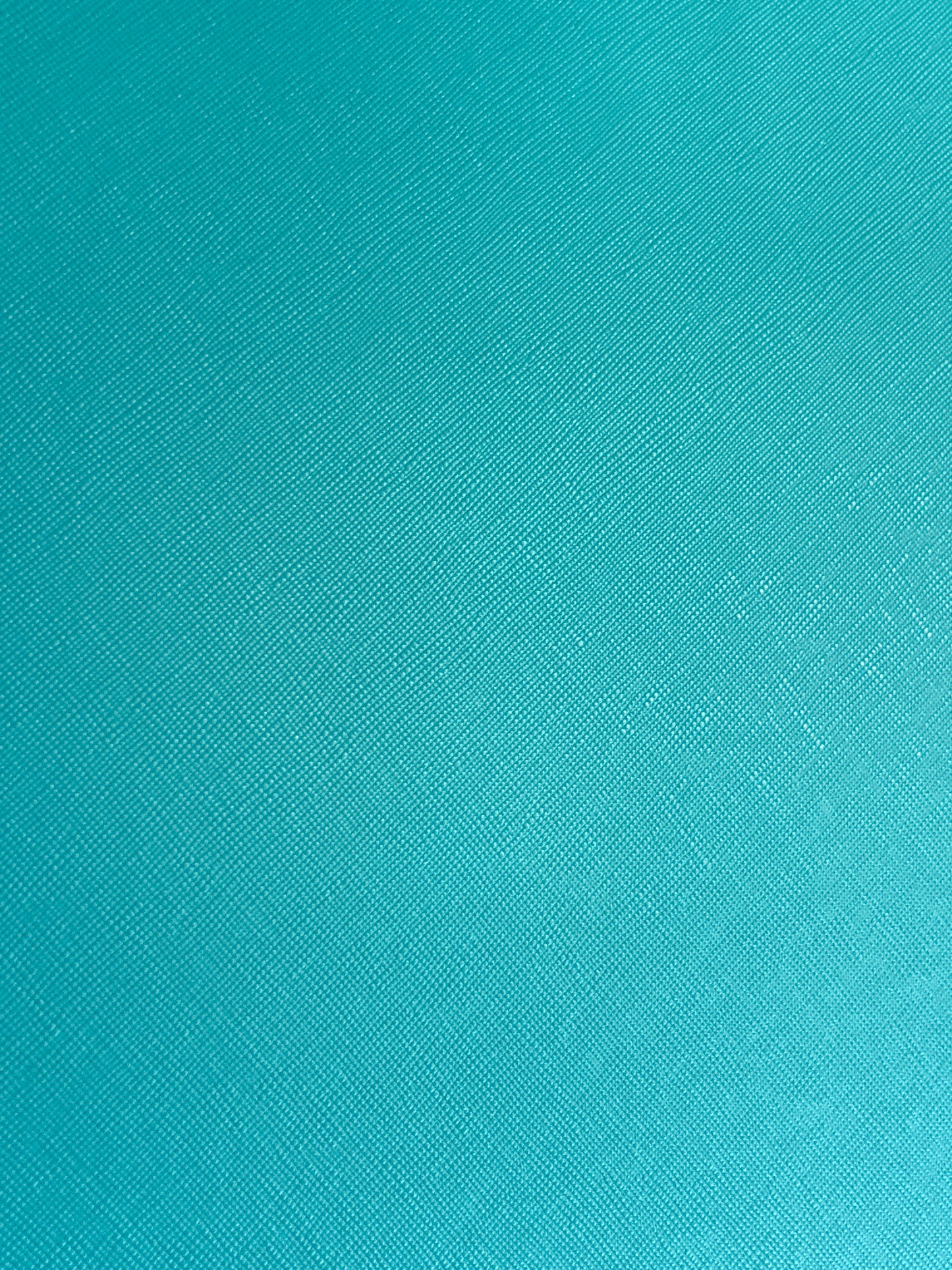 Meg Elite | Max Teal